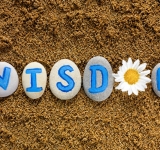 WISDOM FAREWELL TO THE OLD AND EMBRACE THE NEW